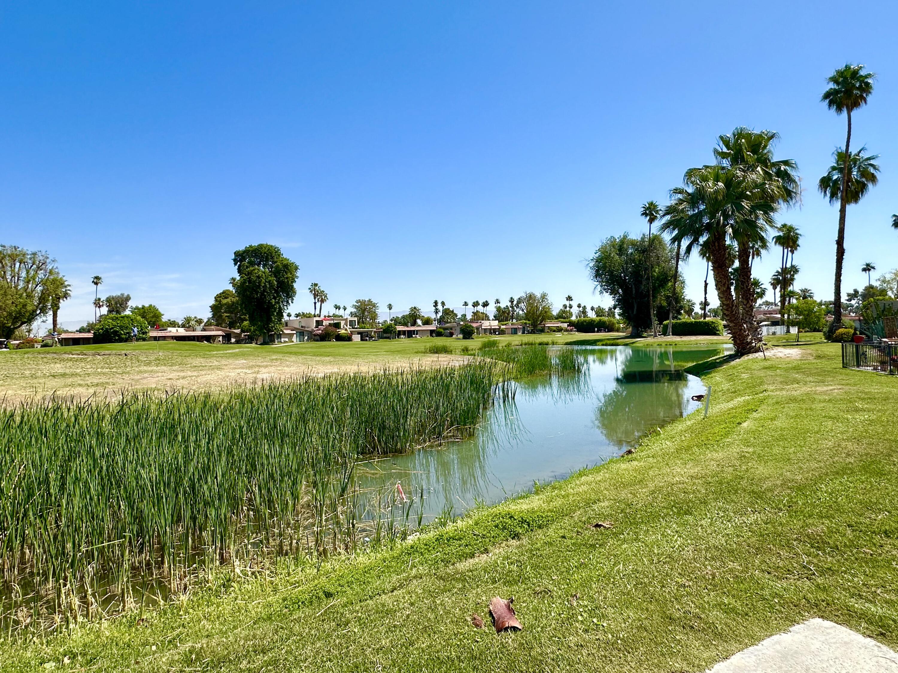 a view of a lake with houses in the back