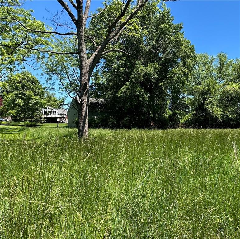 a view of garden with trees