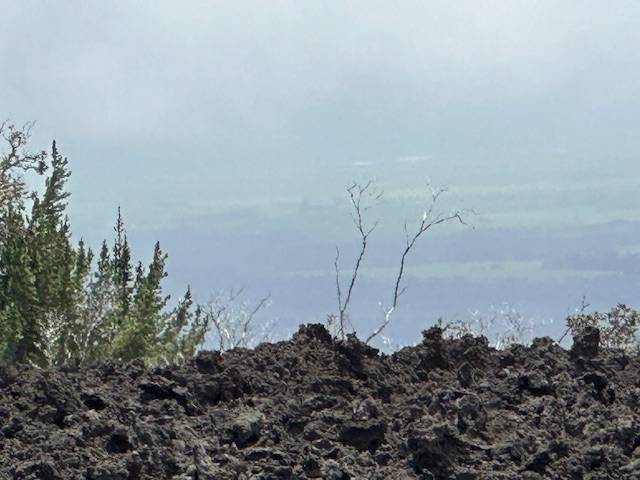 a view of a lake