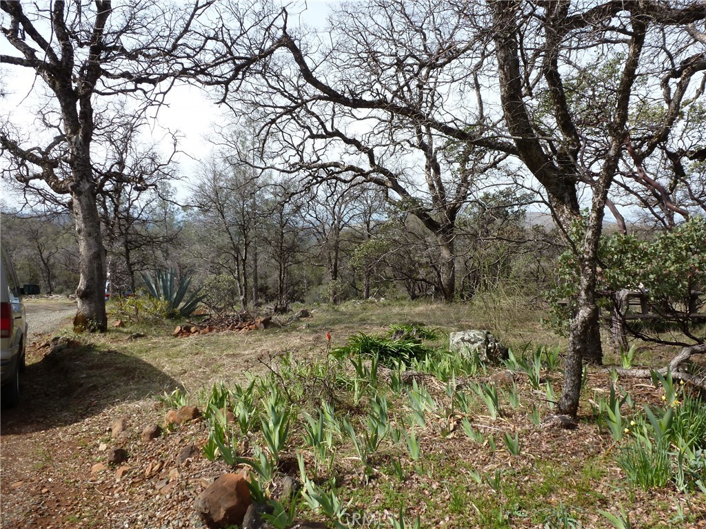 a pathway of a yard