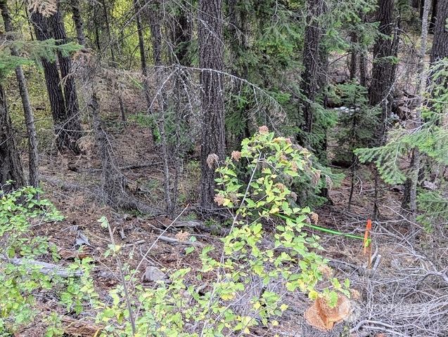 $79,000 | -xx Sawmill Road