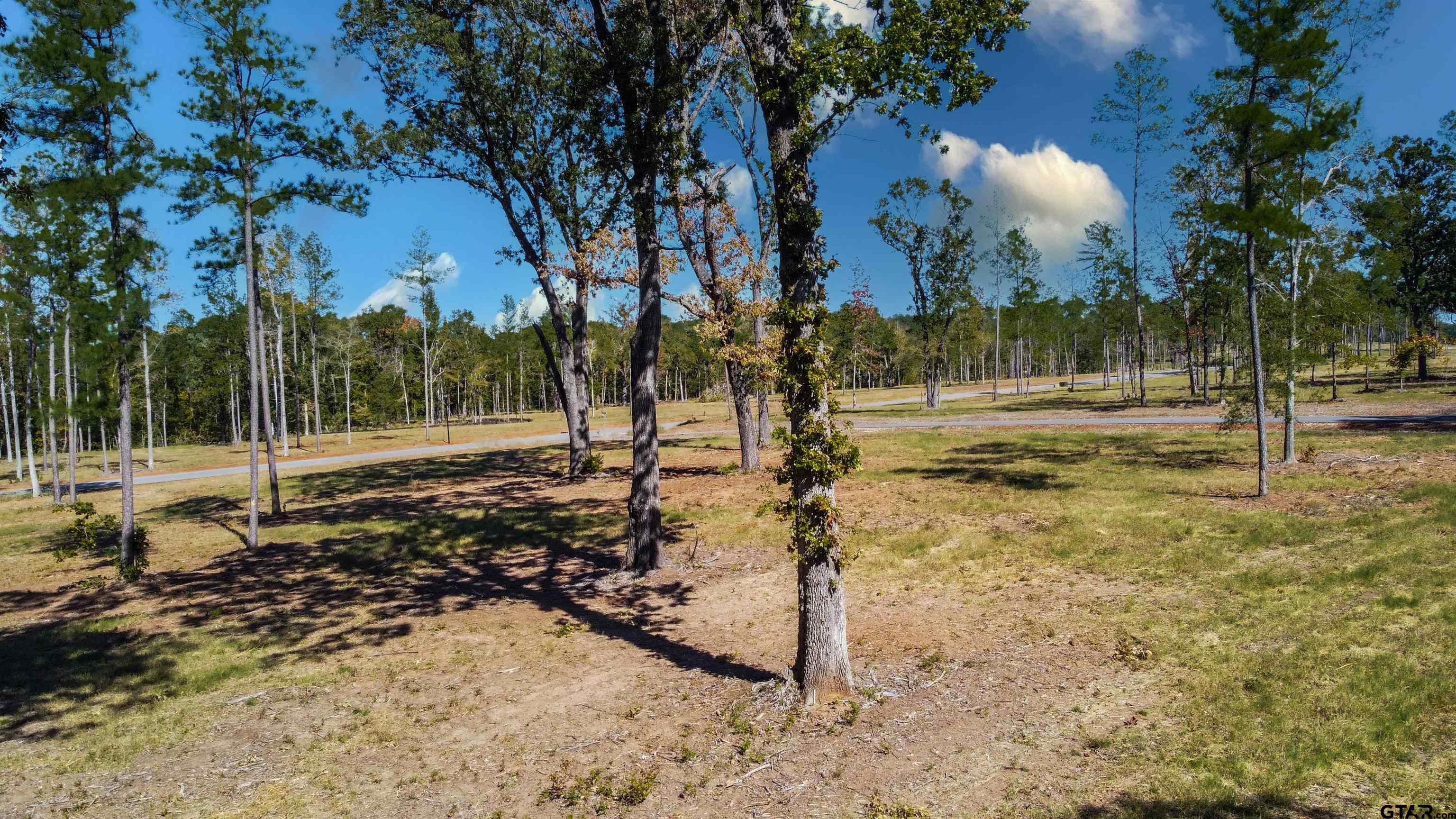 a view of a yard with trees