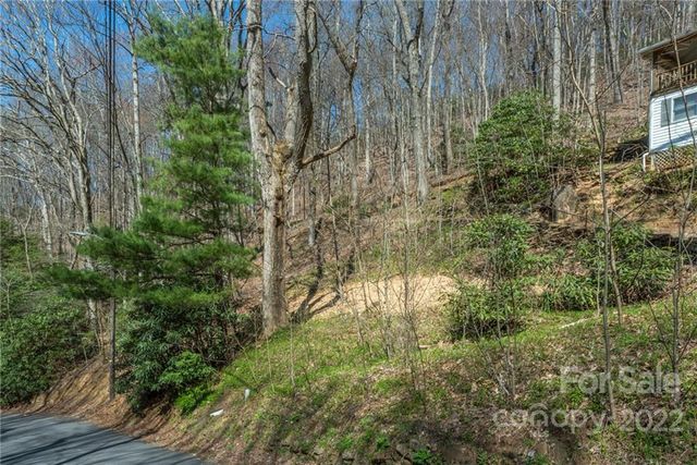 Montreat For Sale