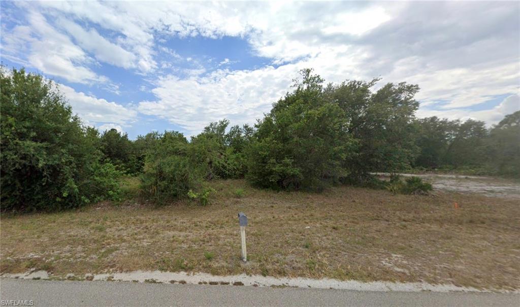 a view of a dry yard with trees