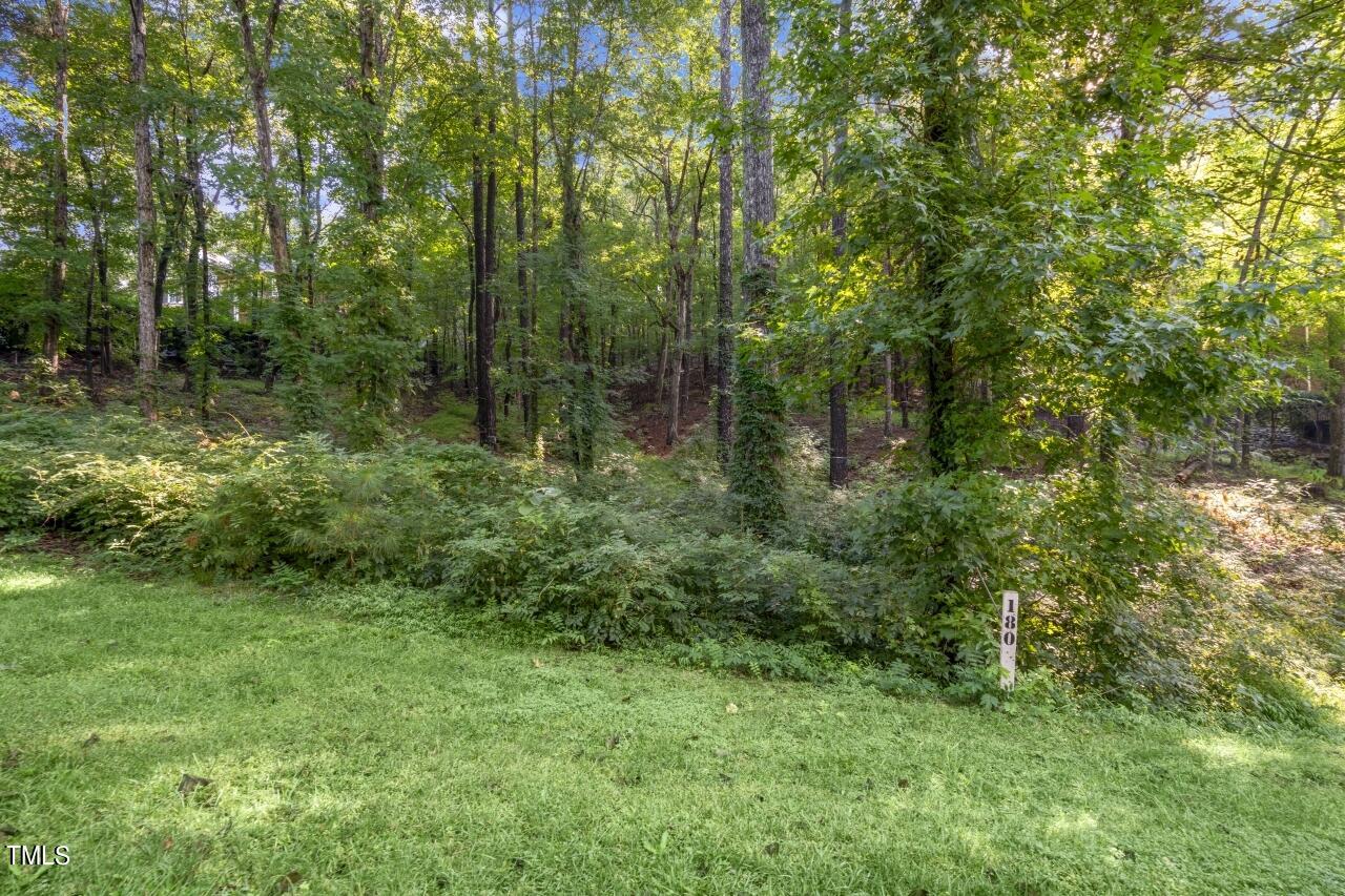 a view of a green field with lots of bushes