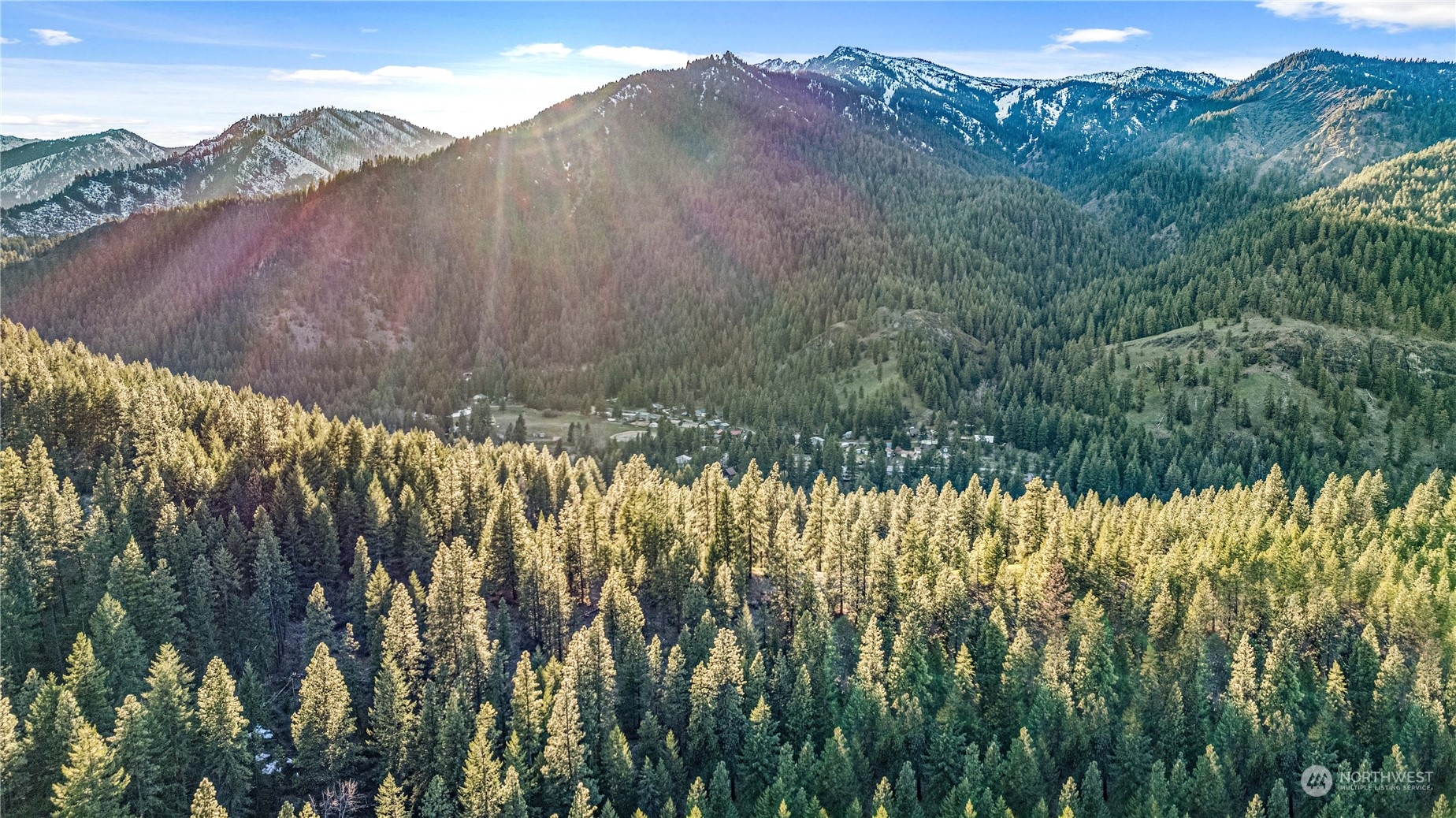 a view of a bunch of trees