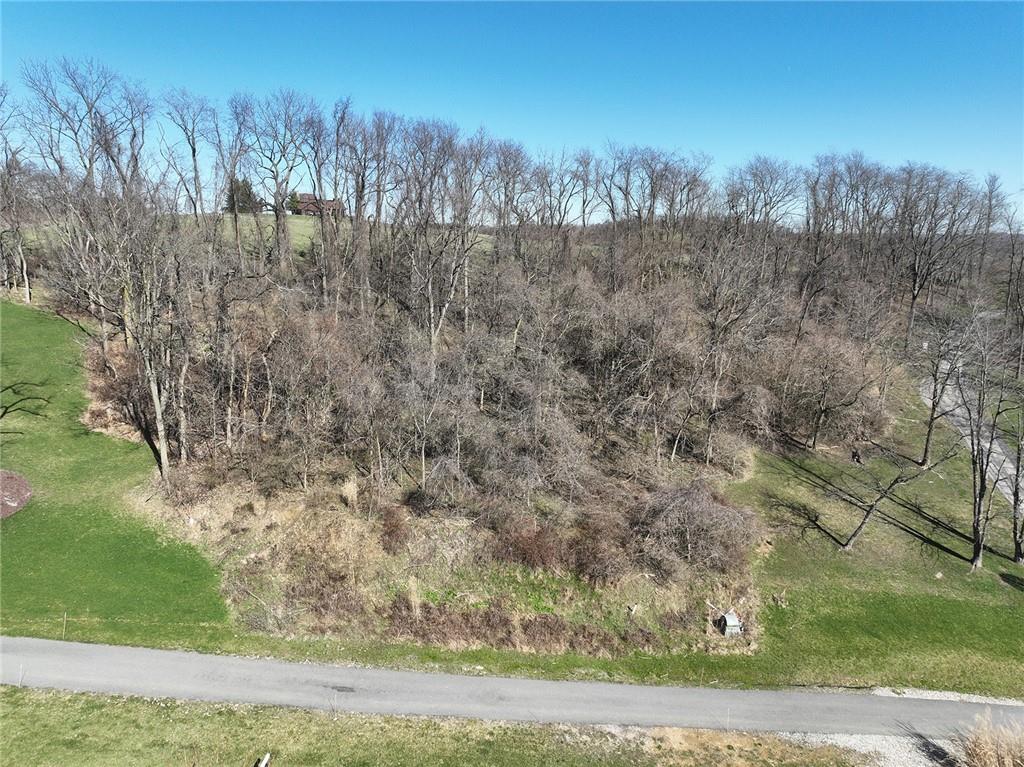 a view of a yard with large trees