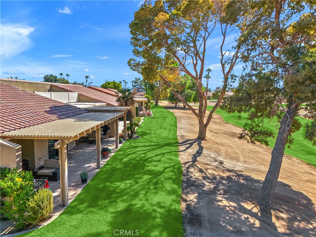 a view of a backyard with large trees