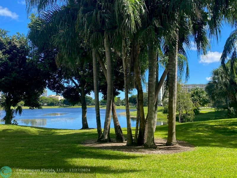 a view of a park