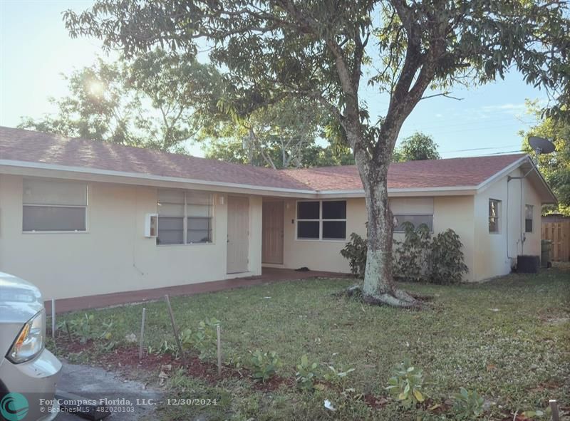 a house that has a tree in front of the house