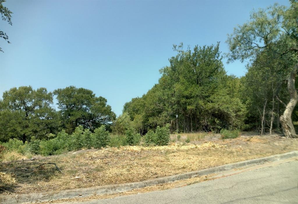 a view of a yard with plants and trees