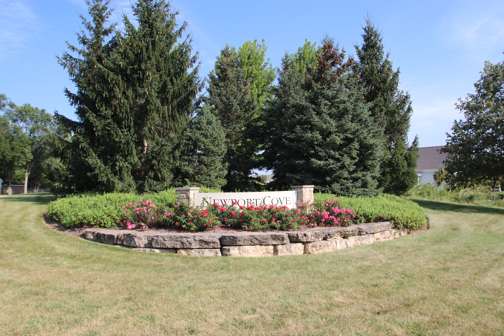 a view of a garden with plants and large trees