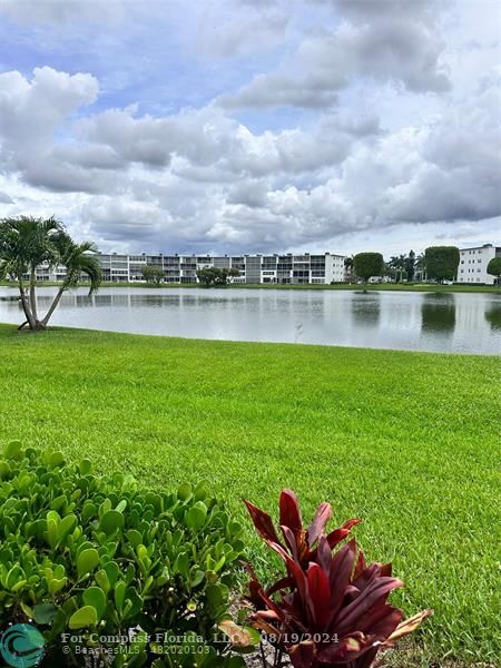 a view of a lake with a big yard