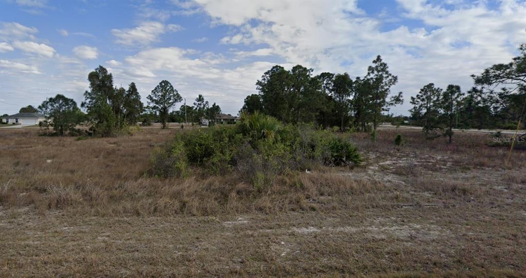 a view of a dry yard with trees