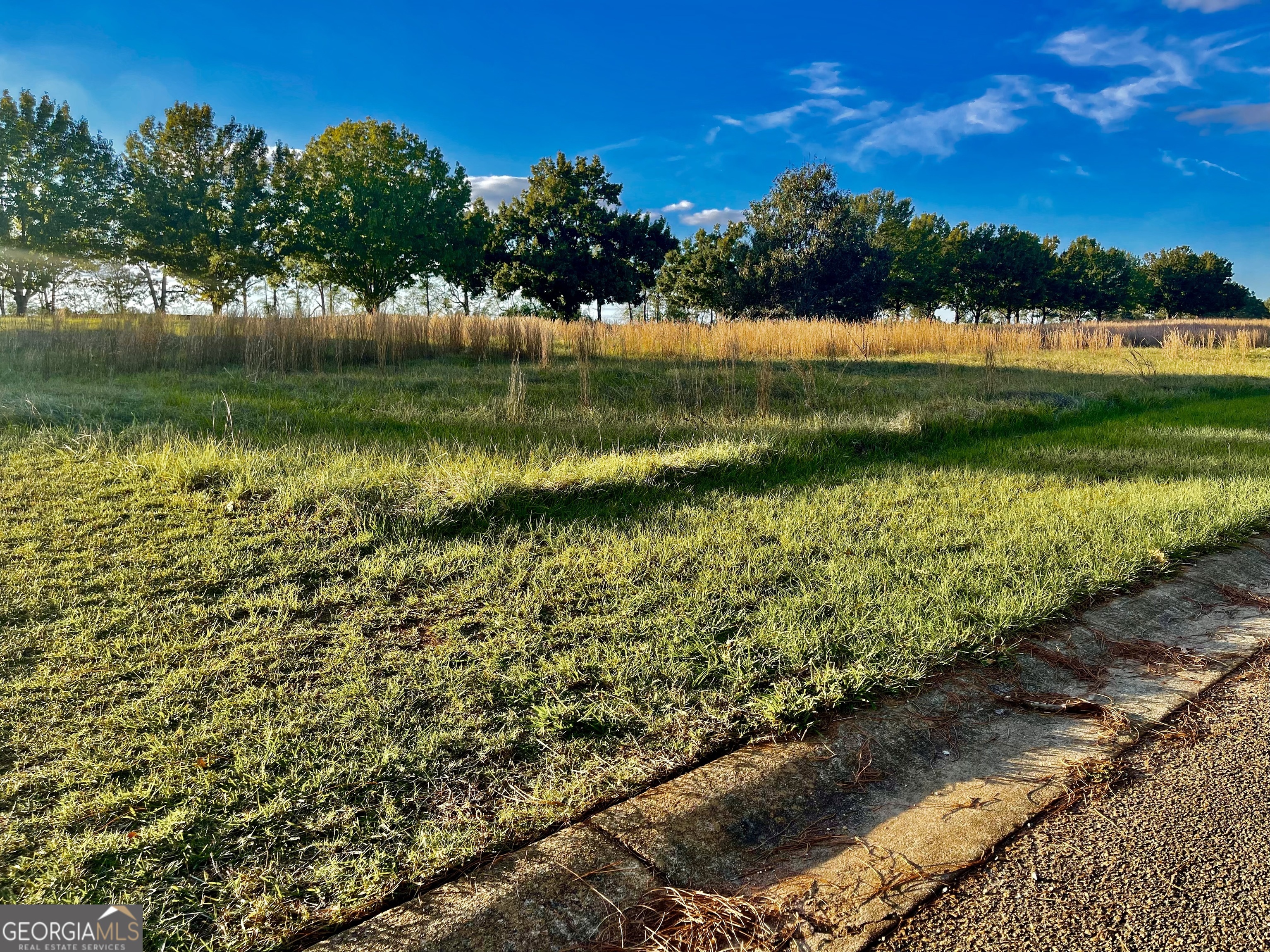 a view of a lake with a yard