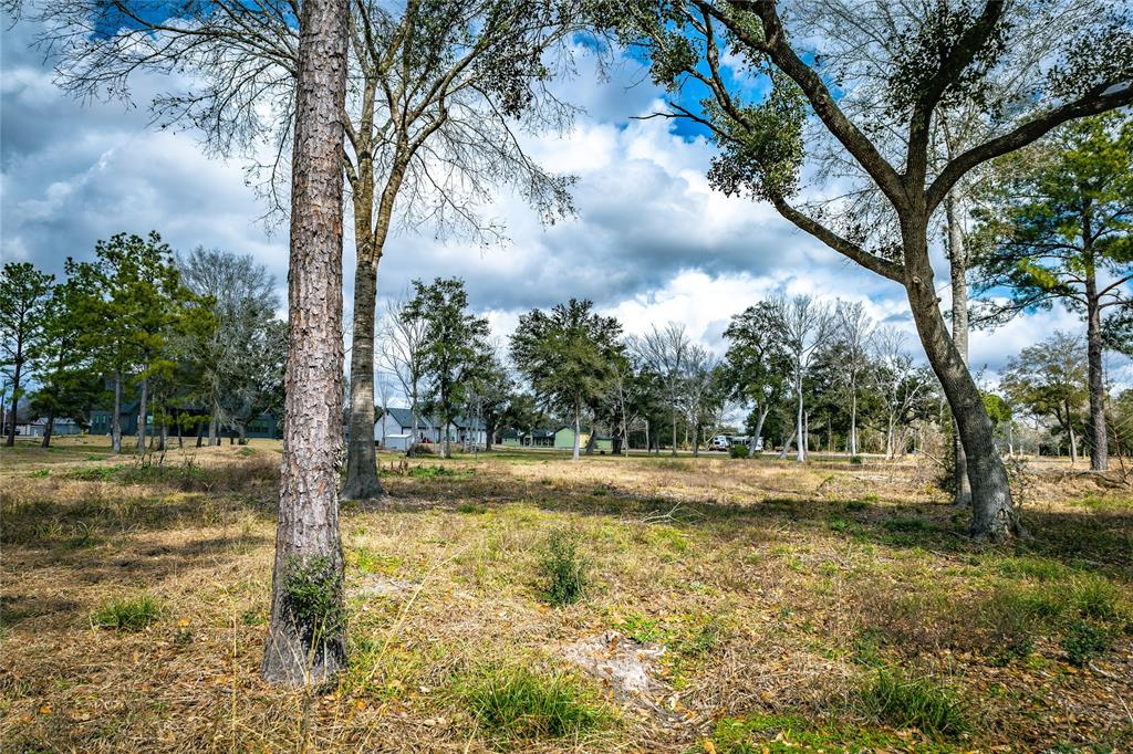 a view of yard with trees