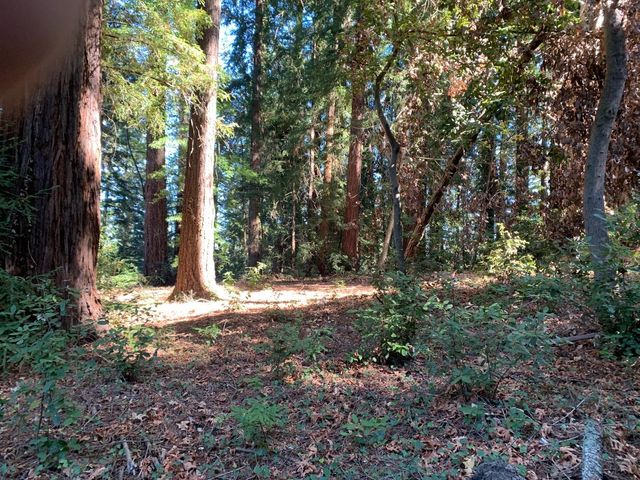 $349,000 | 1 Santa Ana Road | Los Gatos Mountains