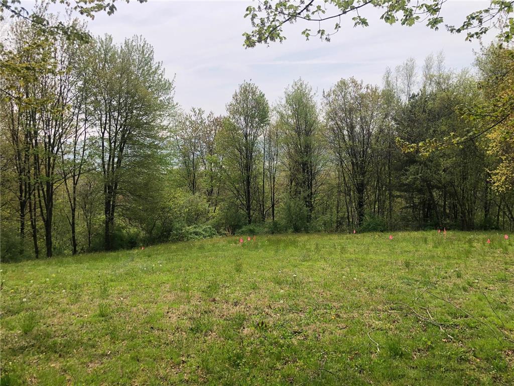 a view of a big yard with trees in the background