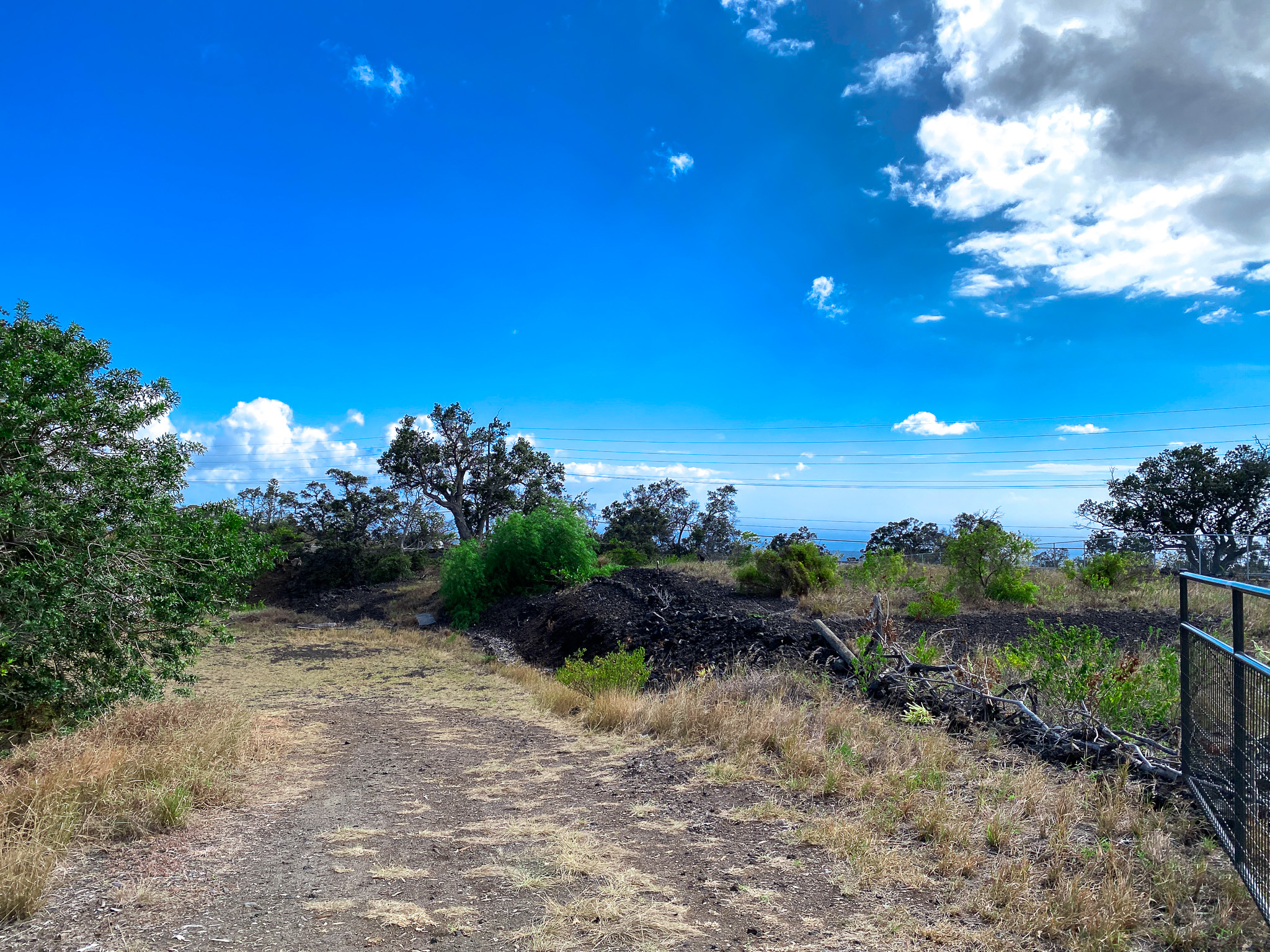 a view of a pathway with a tree in the background