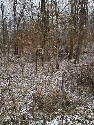 $36,000 | 0 South County Road 25 East | Warren Township - Putnam County