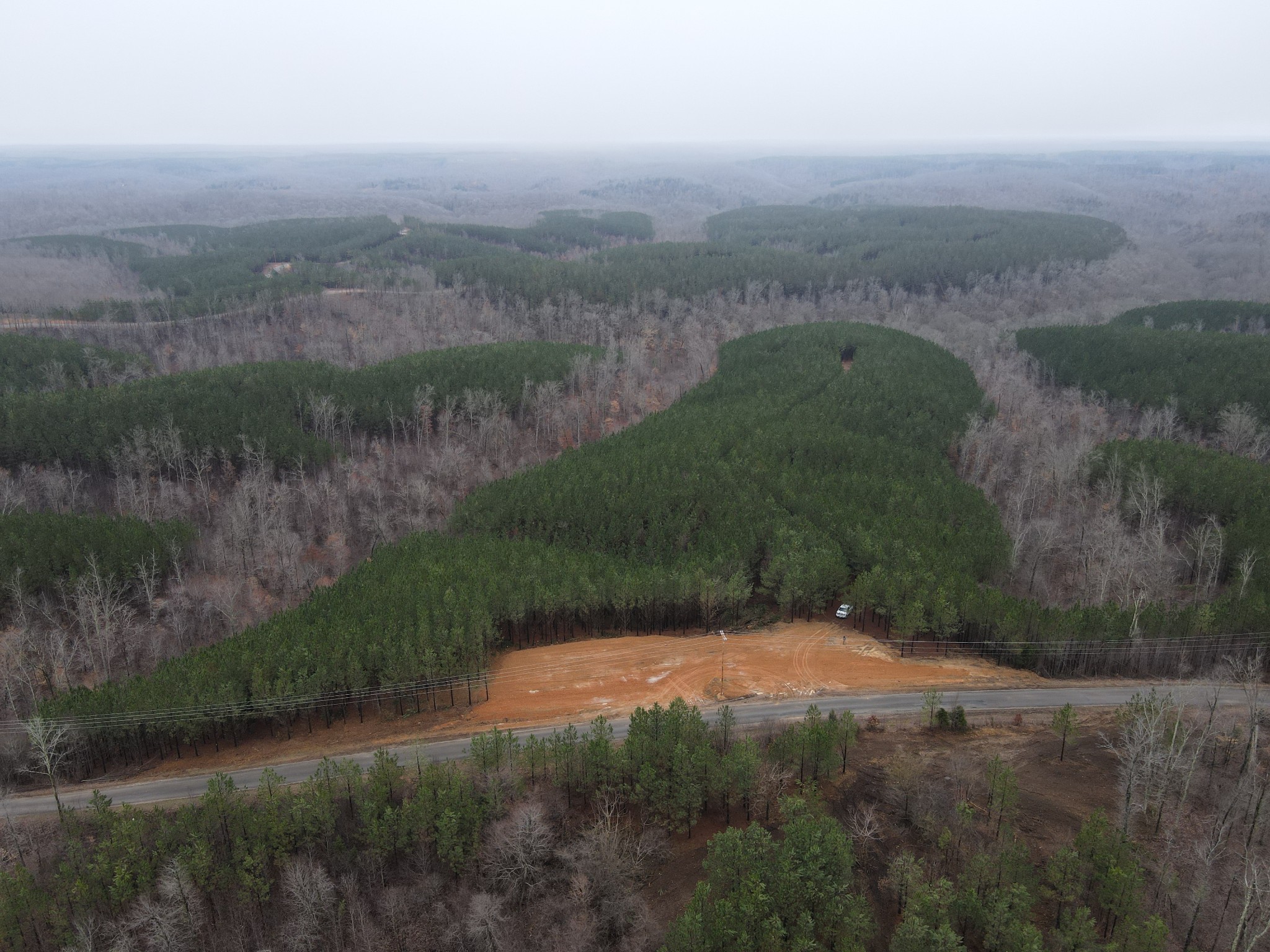 North of the tract looking South from Old Hohenwald road.