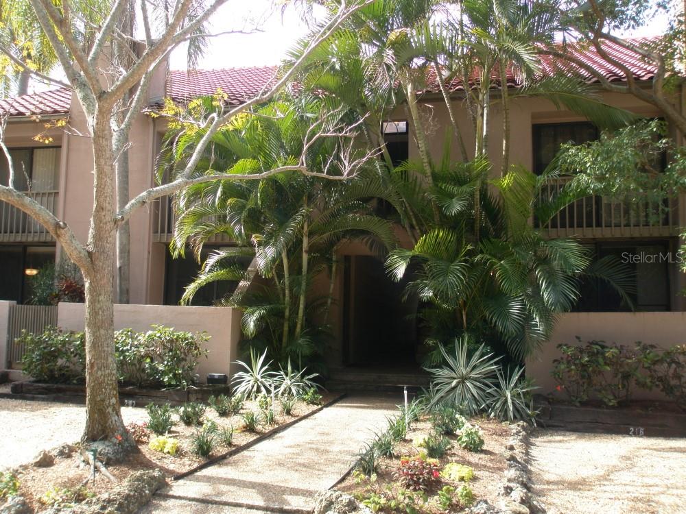 a plant is in front of a house