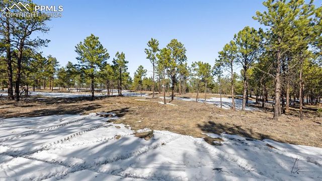 $375,000 | 12188 Goodson Road | Black Forest