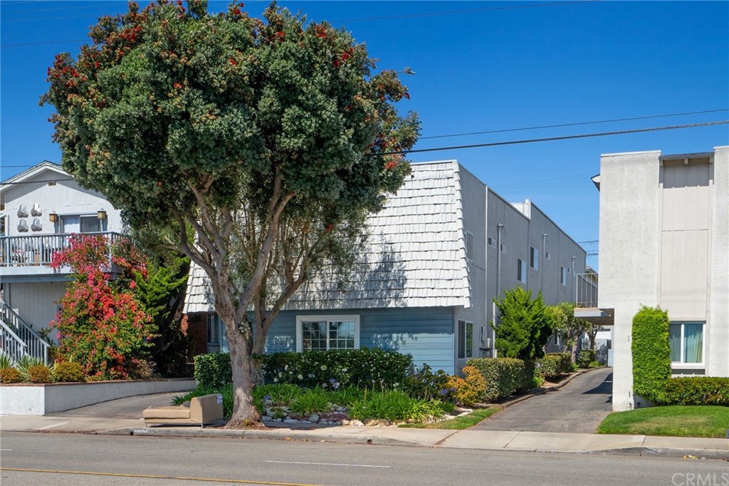 a front view of a house with plants and trees