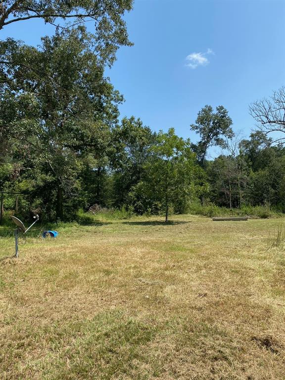 a view of a yard with a tree