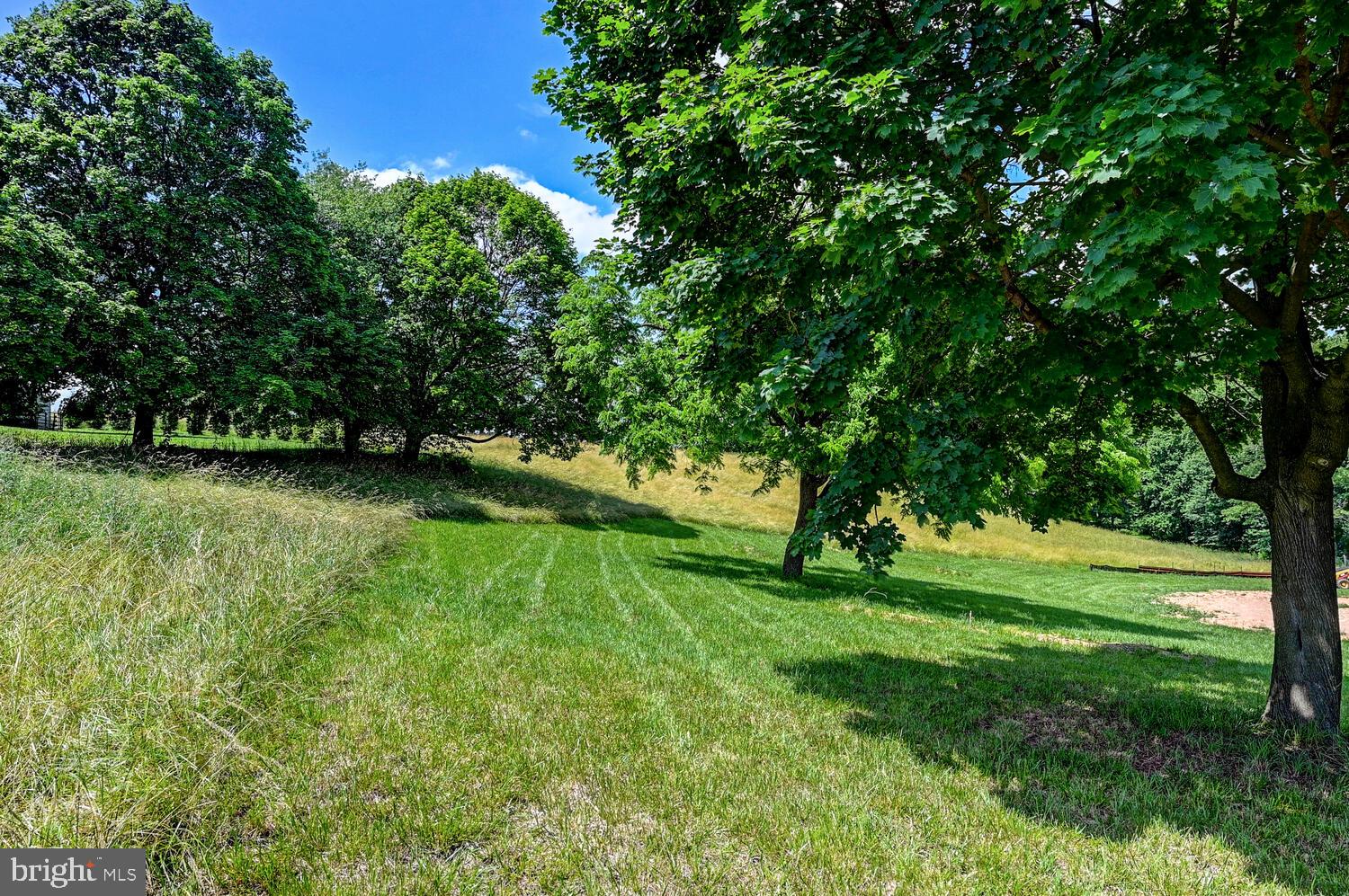 a view of a grassy field with trees in the background