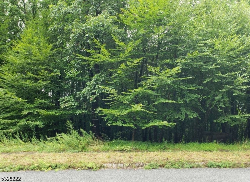 a green field with lots of trees