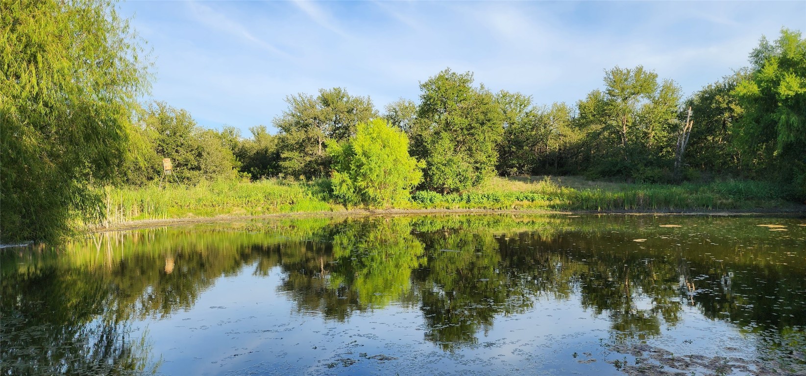 a view of a lake with a yard