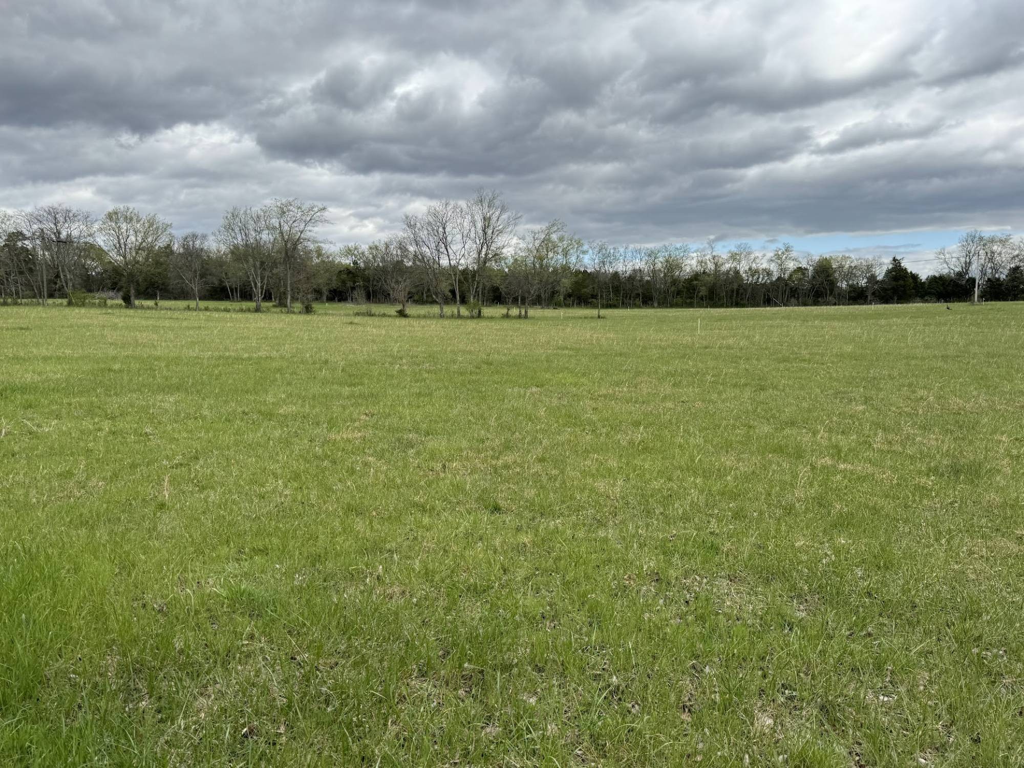 a view of a field with an ocean