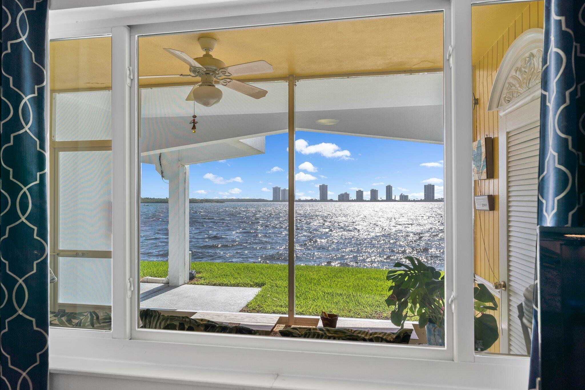 a view of a garden from a windows