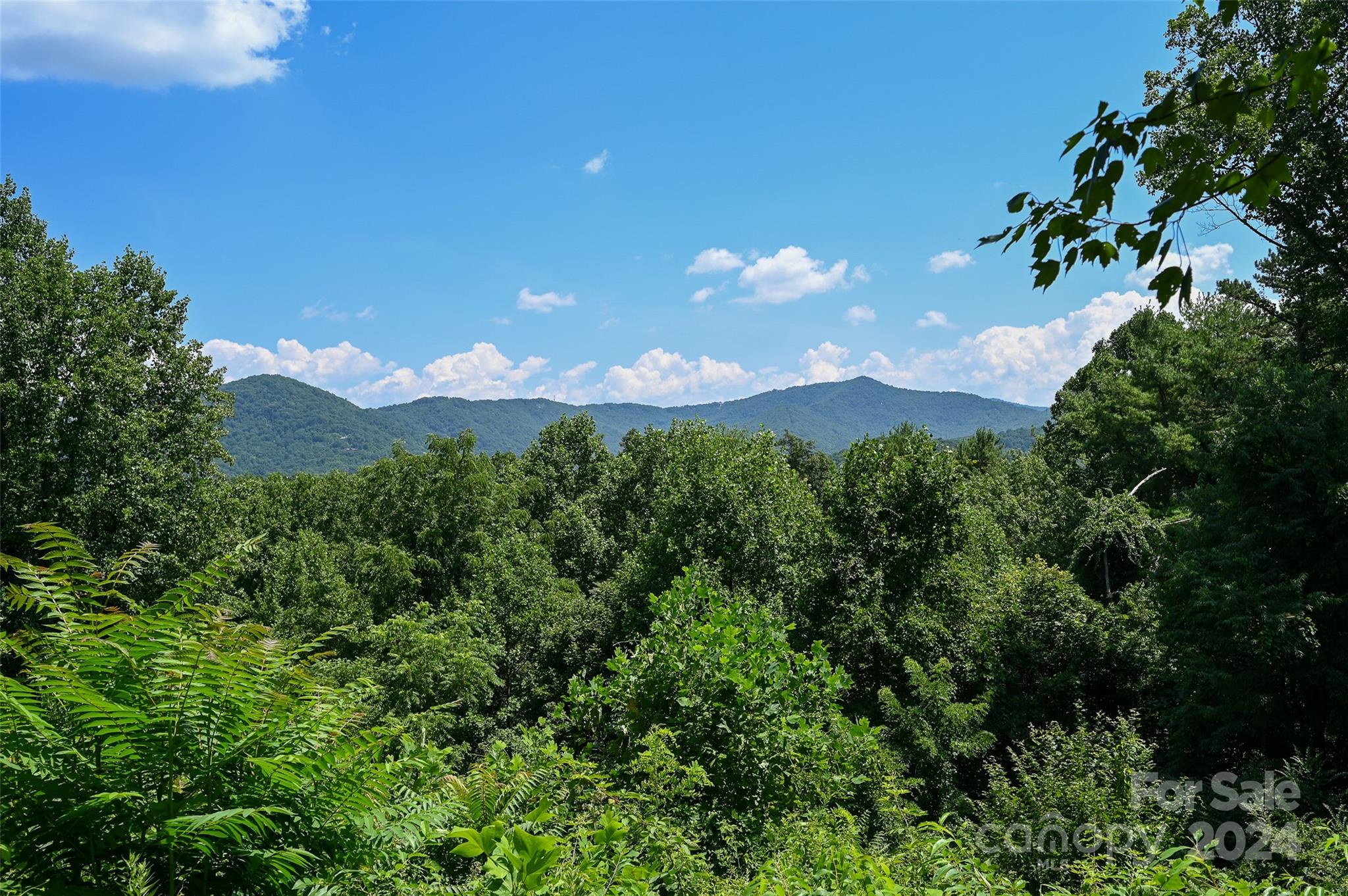 a view of a bunch of trees in a field