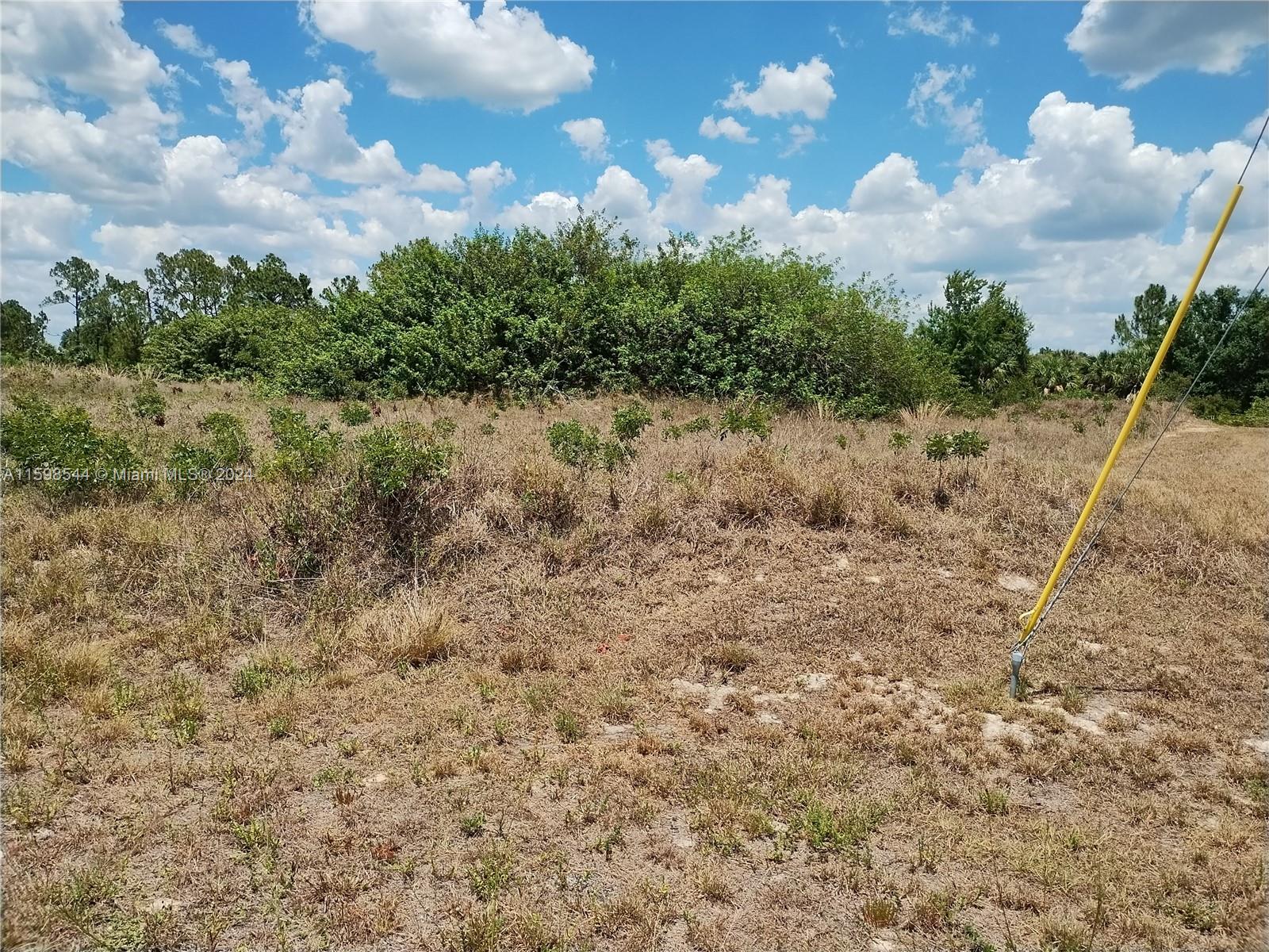 a view of a dry yard with lots of green space