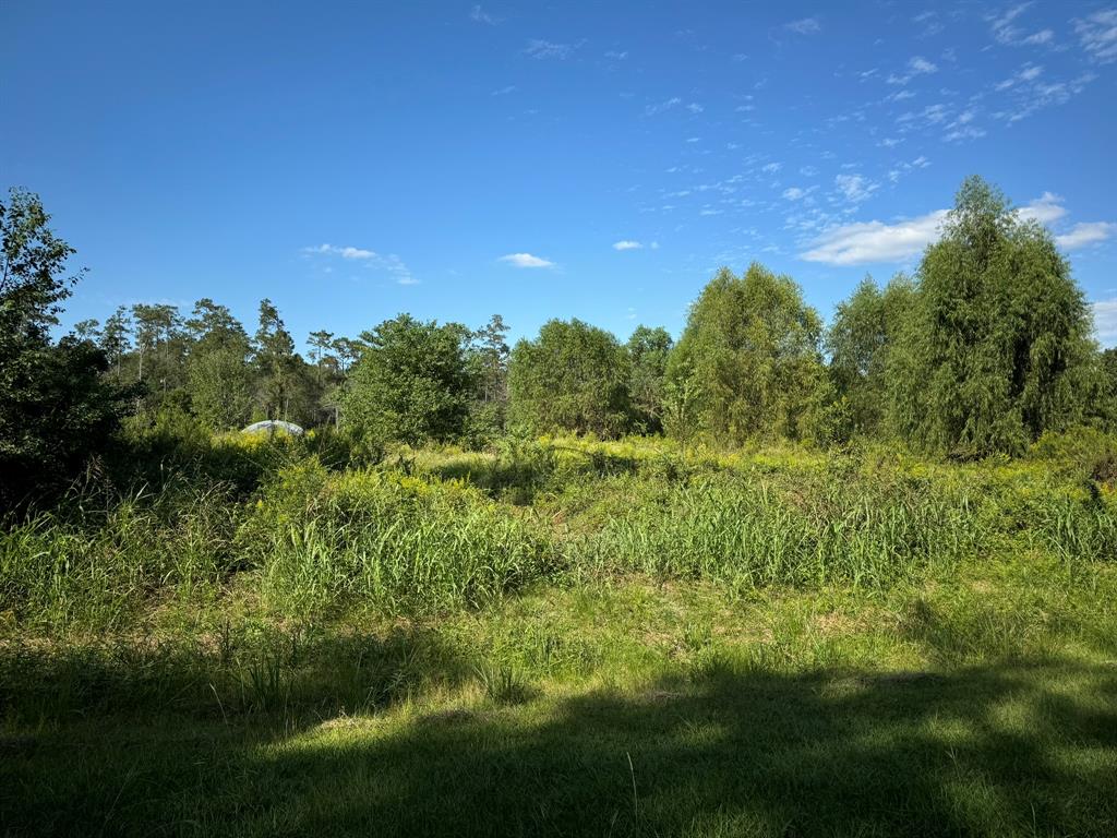 a view of a field of grass and trees