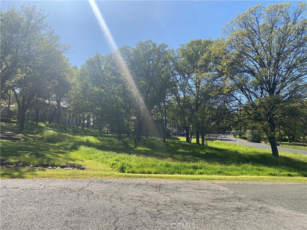 a view of a backyard with large trees