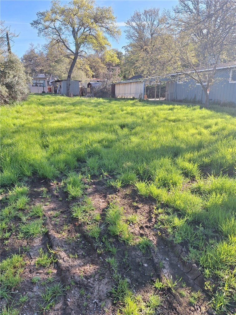 a view of yard with swimming pool and green space