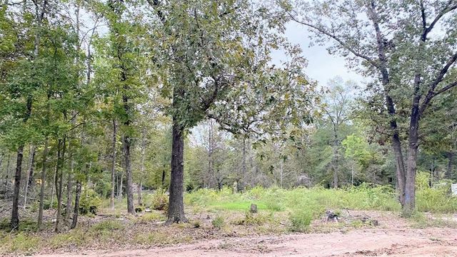 $25,500 | Panther Lane | West Livingston