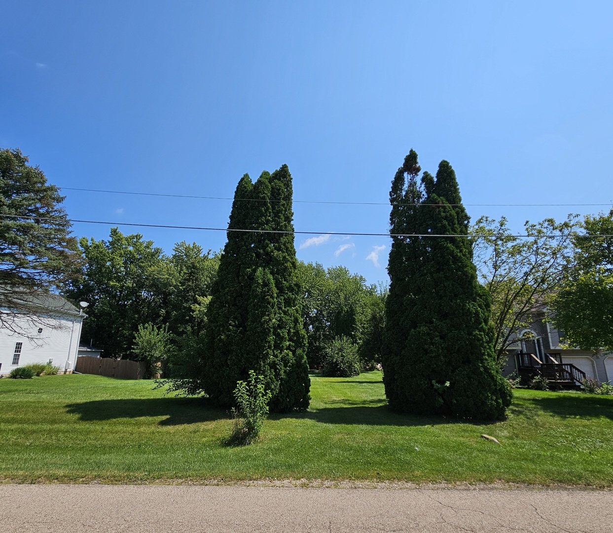 a view of a garden