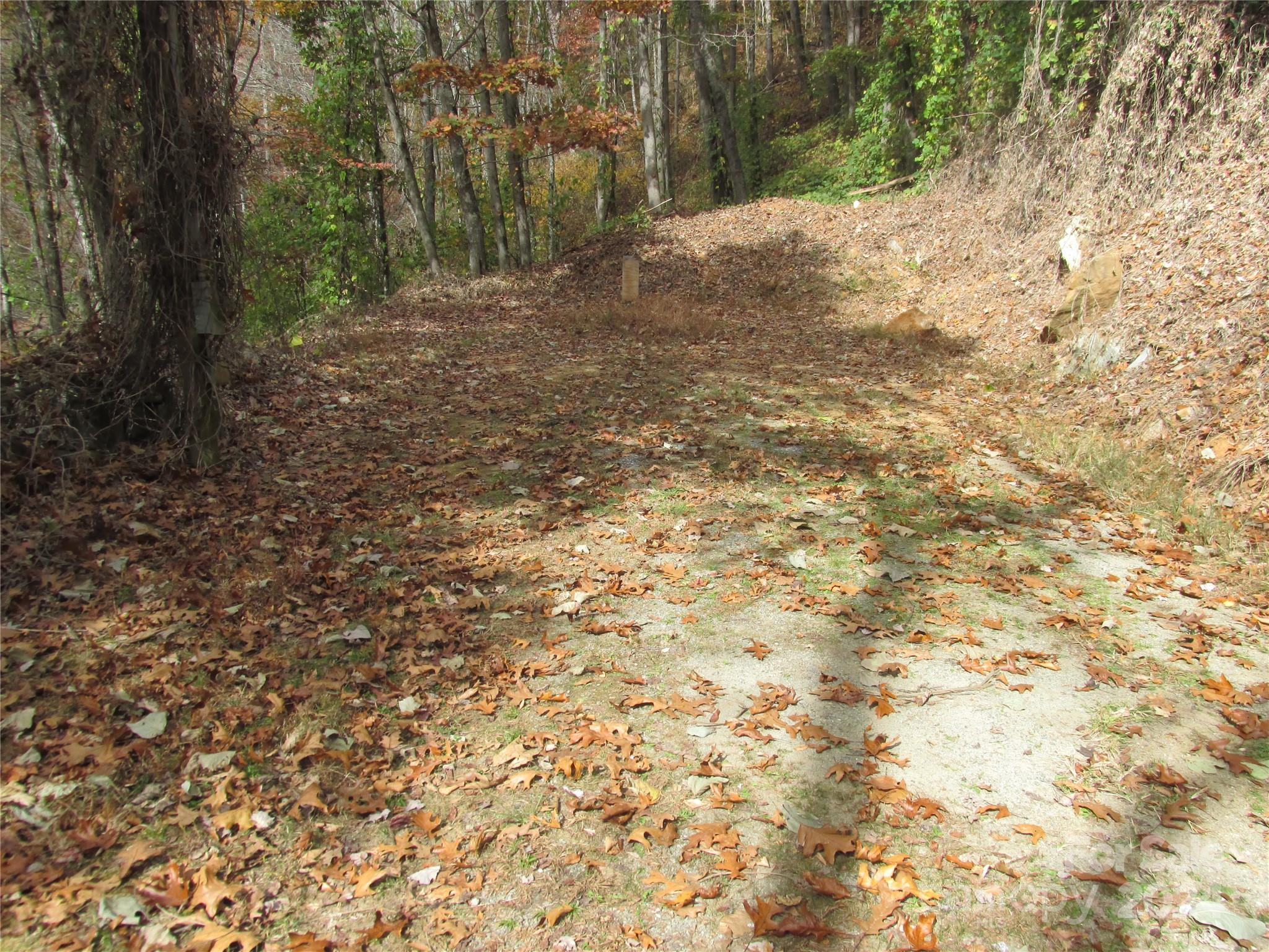 a view of a yard with a tree