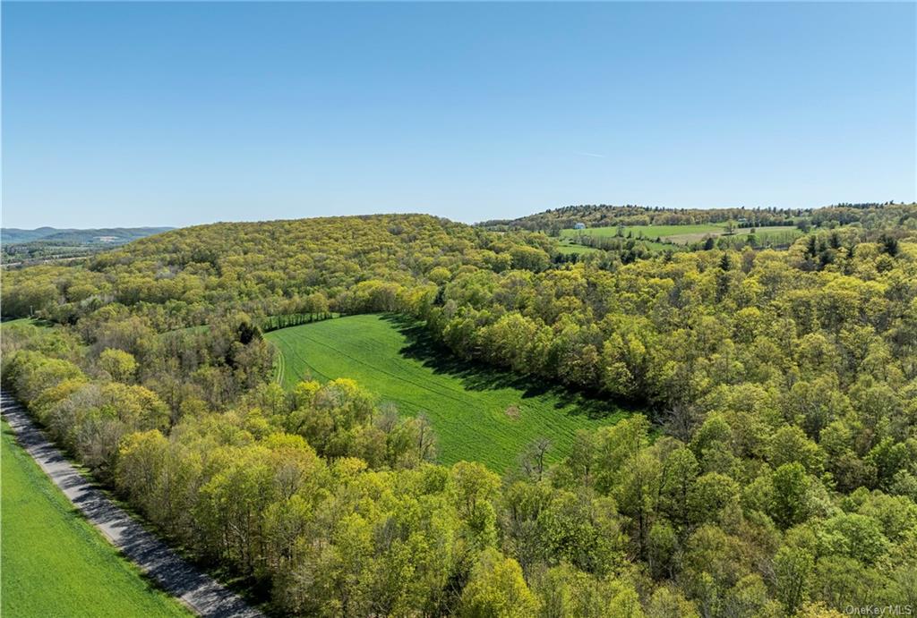 a view of a green field with lots of bushes