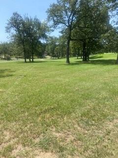 a big yard with lots of green space and trees in the background