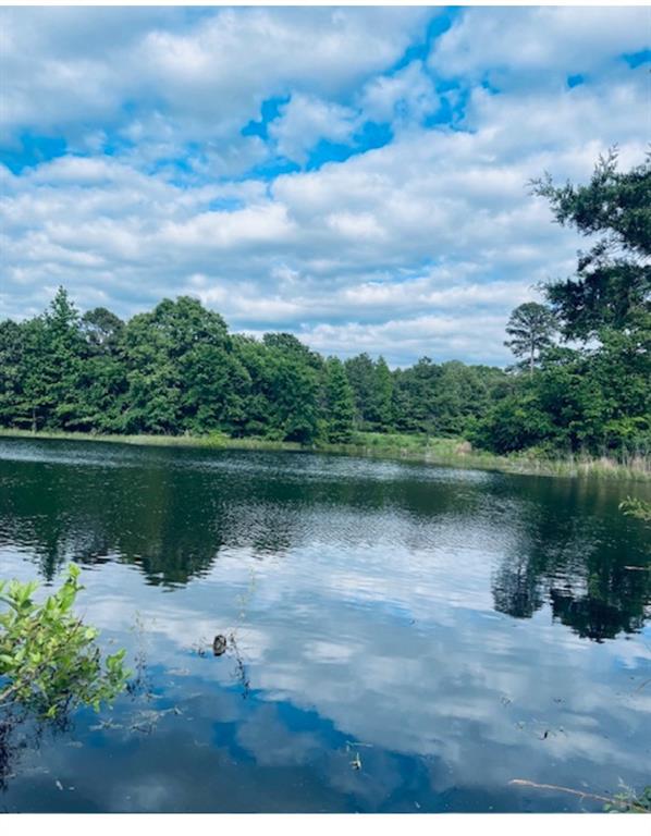 a view of a lake