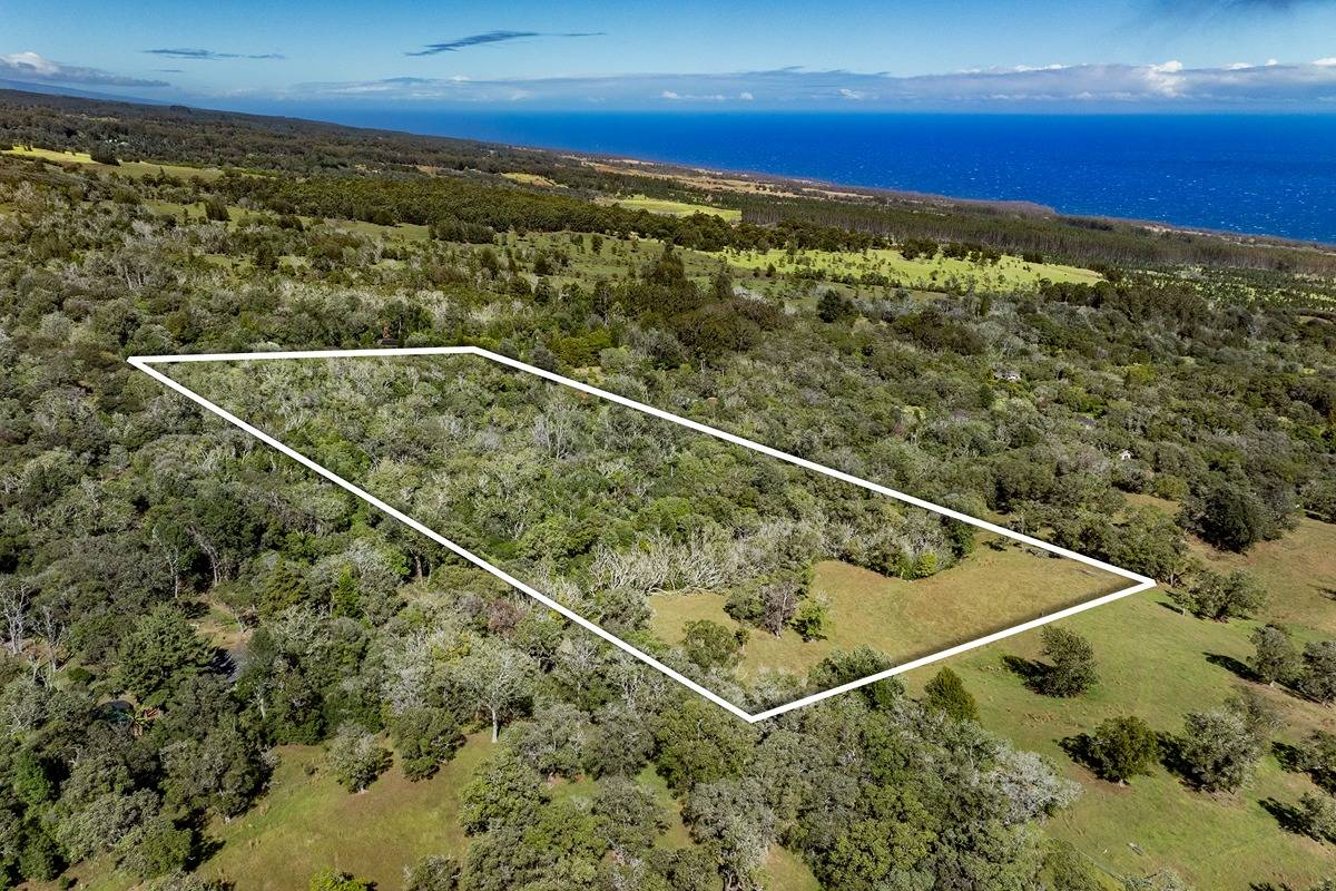 Take a look at this awesome, raw 13-acre property about 2200 feet above sea level. Cool climate, off-grid, private yet nestled within a small community, fertile soil, good for grazing cattle,  horses, and small livestock! Boundary lines are estimated.