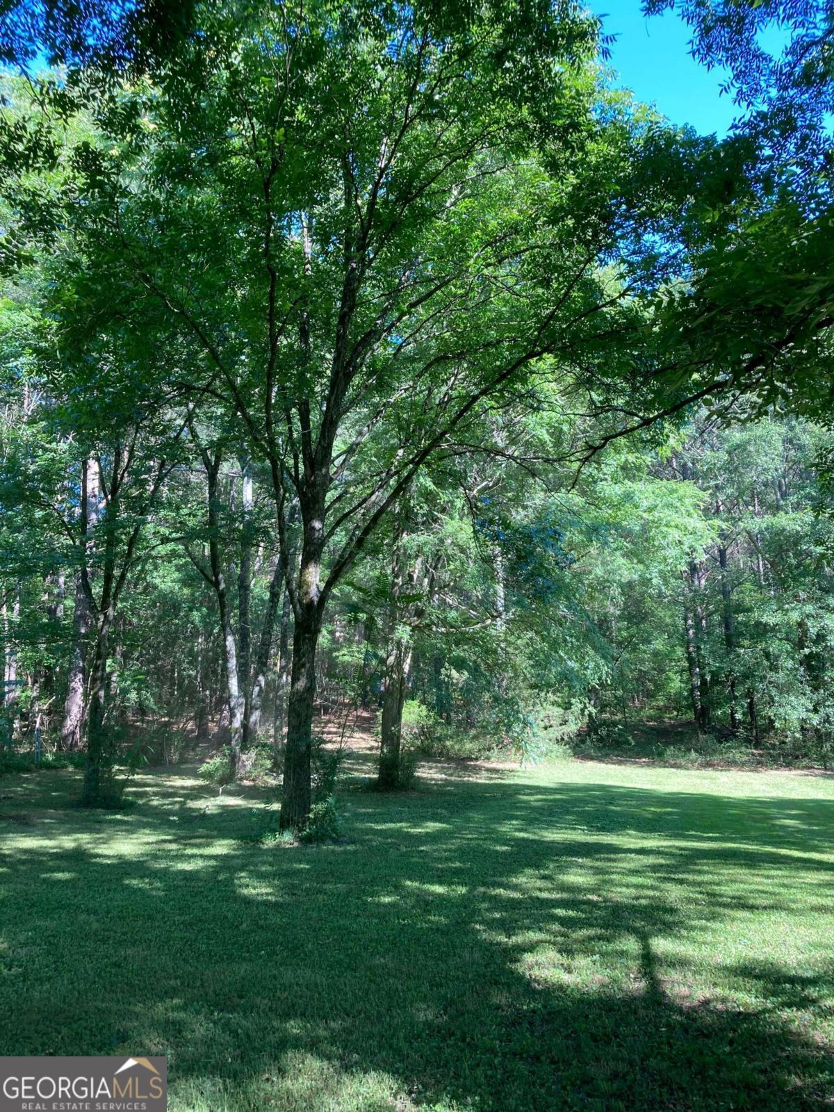 a view of a grassy field with trees