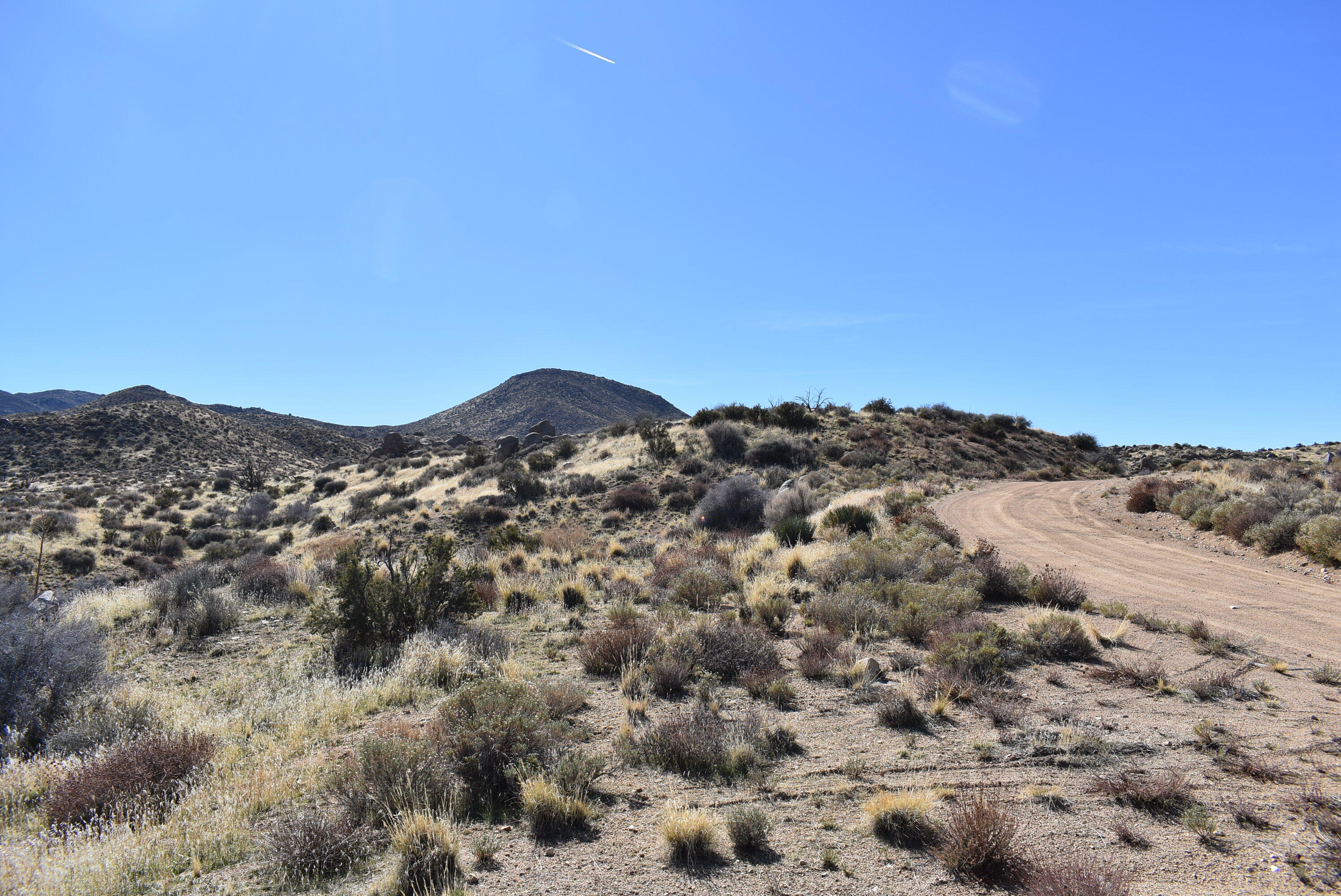 a view of a mountain range with trees in the background