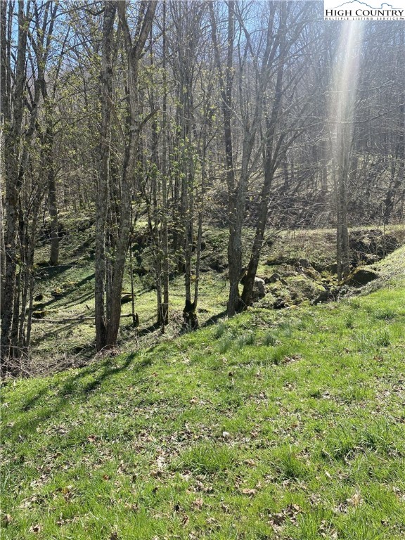 a big yard with lots of green space and trees