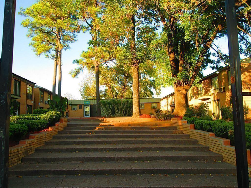 a park view with large trees